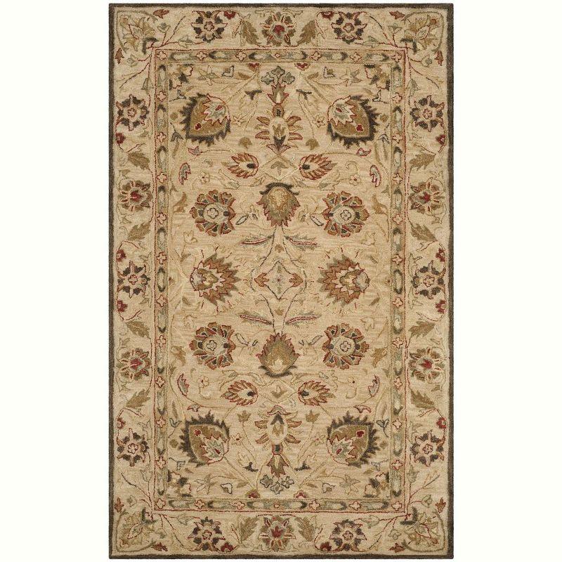 Antiquity AT812 Hand Tufted Area Rug  - Safavieh