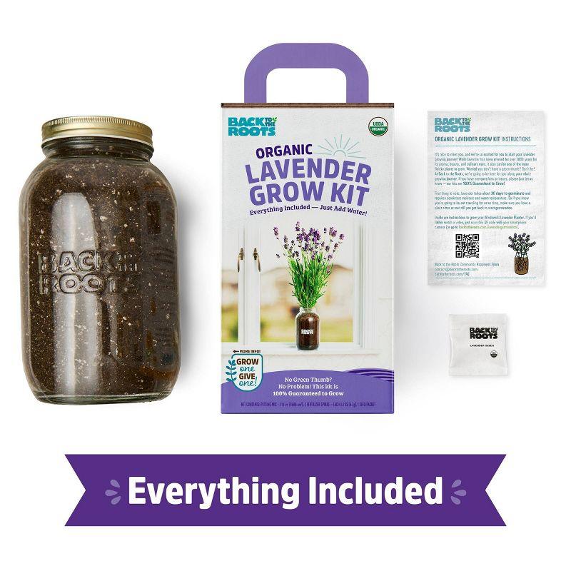 Back to the Roots Organic Lavender Grow Kit