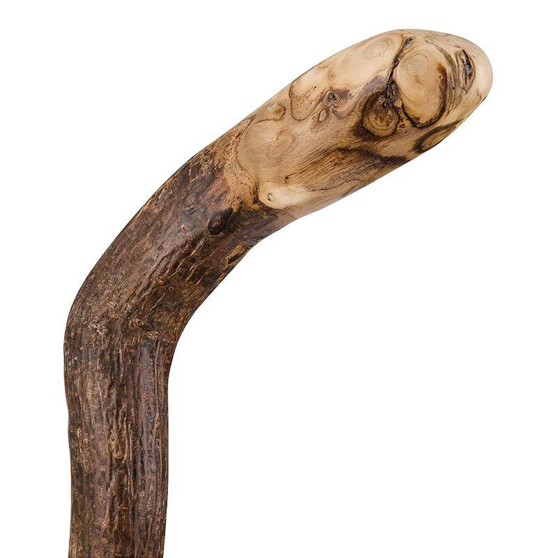 Brazos Knob Root Natural Hardwood Wood Walking Stick 37 Inch Height