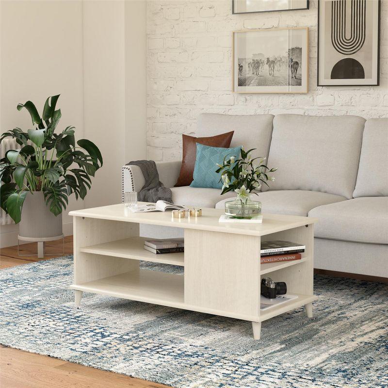 Ameriwood Home Farnsworth Coffee Table