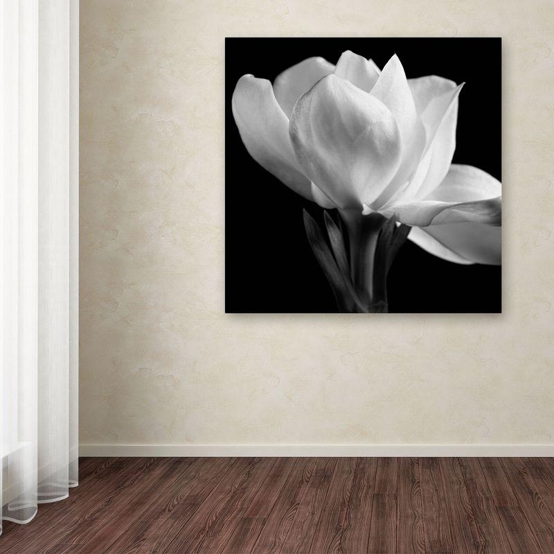 Trademark Fine Art -Michael Harrison 'Gardenia' Canvas Art - 14''x14''