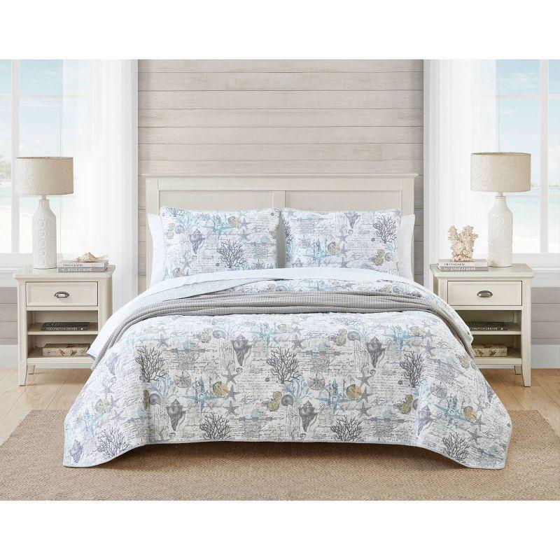 Coastal Breeze Gray King Cotton Quilt Set with Reversible Design