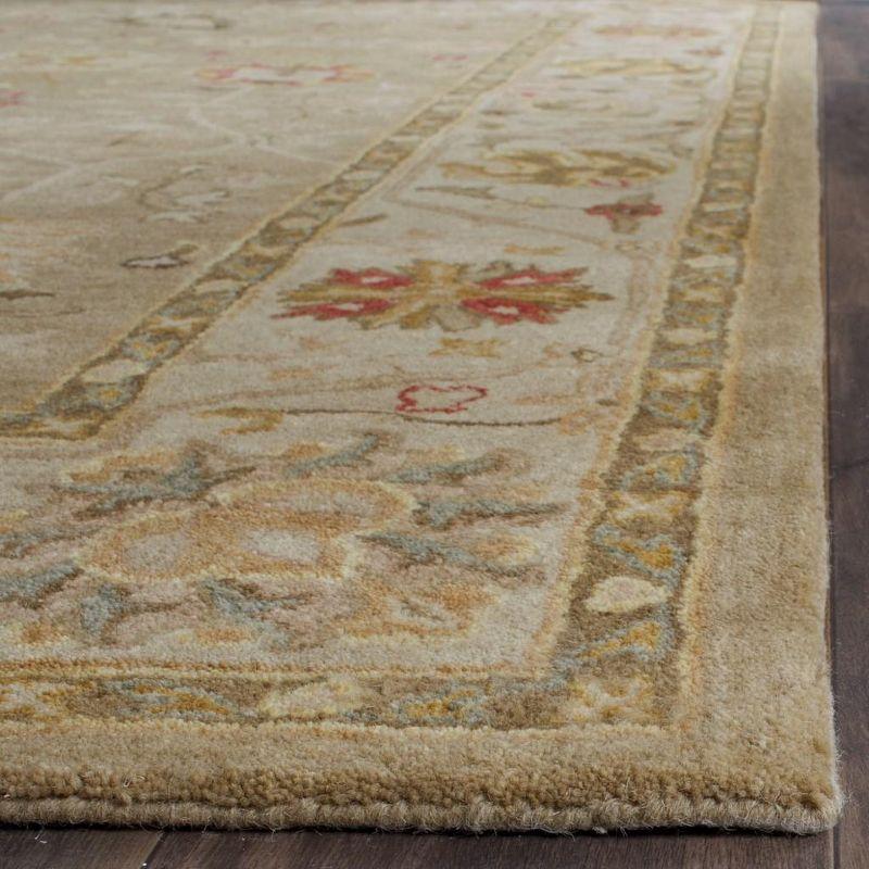 Antiquity AT859 Hand Tufted Area Rug  - Safavieh