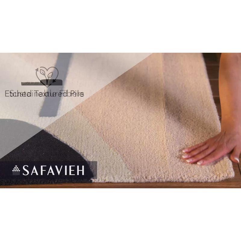 Rodeo Drive RD883 Hand Tufted Area Rug - Grey/Black - 4'x6' - Safavieh.