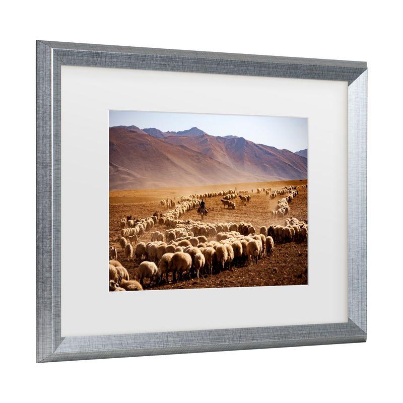 Trademark Fine Art - Murat Cacim  Desert Sheep Herd Matted Framed Art