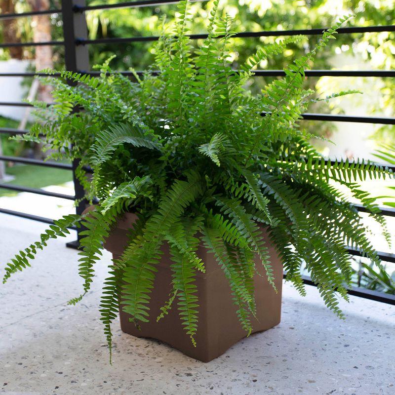 Chocolate Brown 18" Square Deck Box Planter