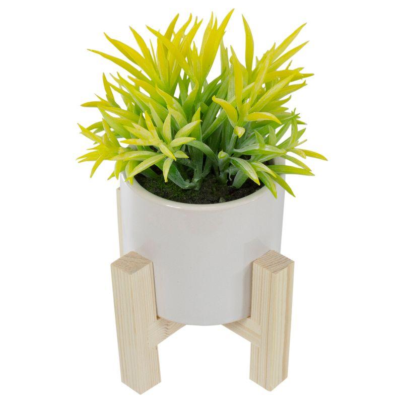 8" Potted Green Artificial Succulent with Wooden Stand