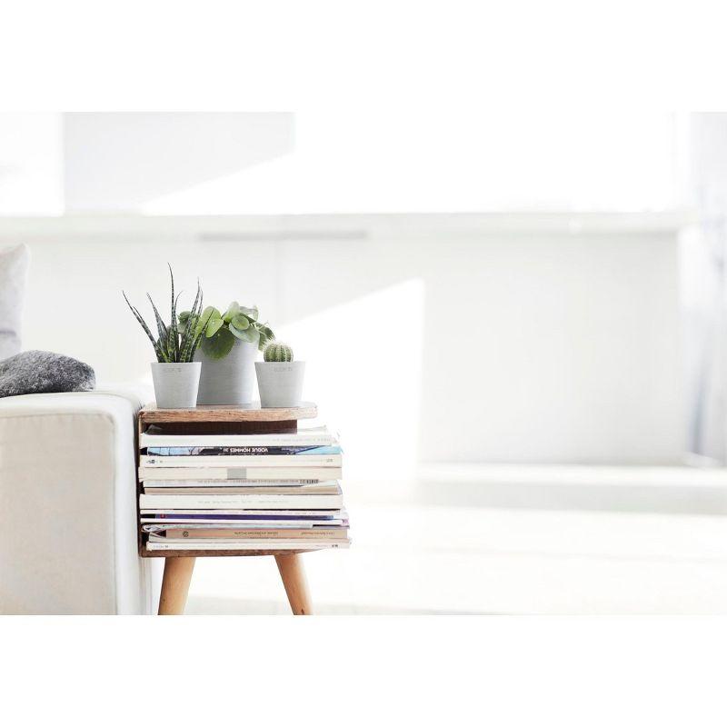 Ecopots Ecopots Indoor/Outdoor Modern Round Recycled Plastic Planter Flower Pot