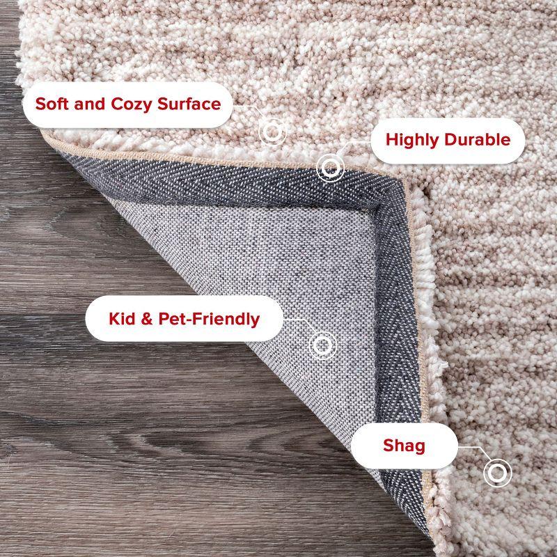 Nuloom Drey Ombre Shag Indoor Area Rug