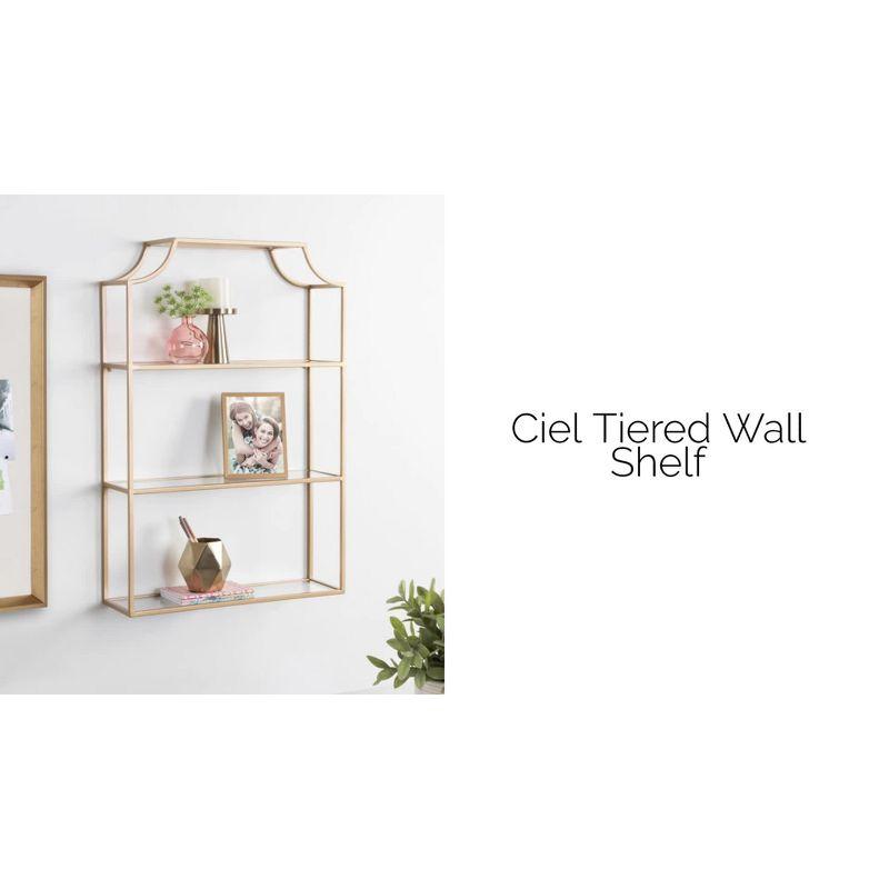 Kate & Laurel All Things Decor 20" x 30" Ciel Tiered Wall Shelf Black: 3-Tier Plastic Floating Shelf, Includes Mounting Hardware