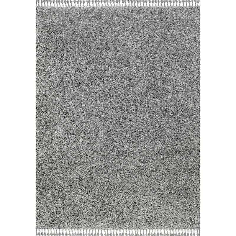 Charcoal 4' x 6' Reversible Shag Synthetic Area Rug