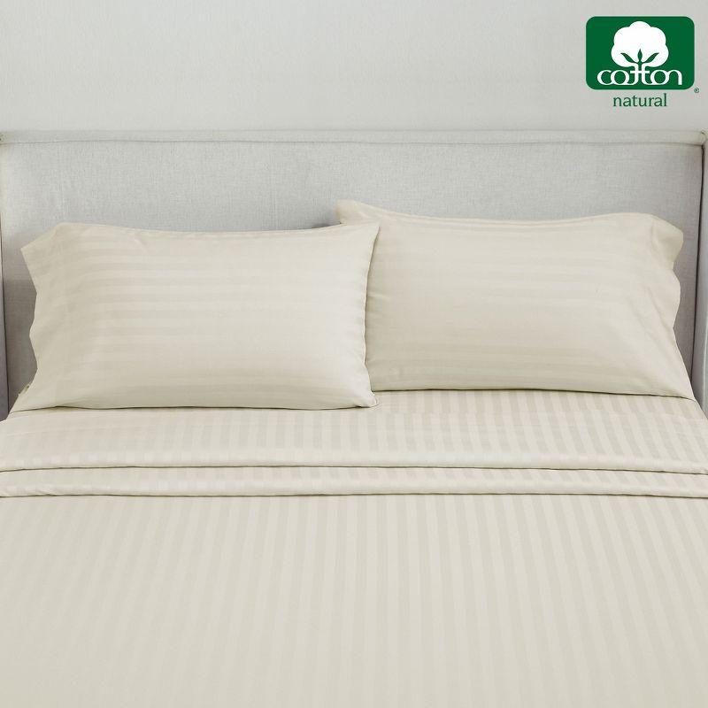 King Ivory 500 Thread Count Cotton Sateen Pillowcase Set