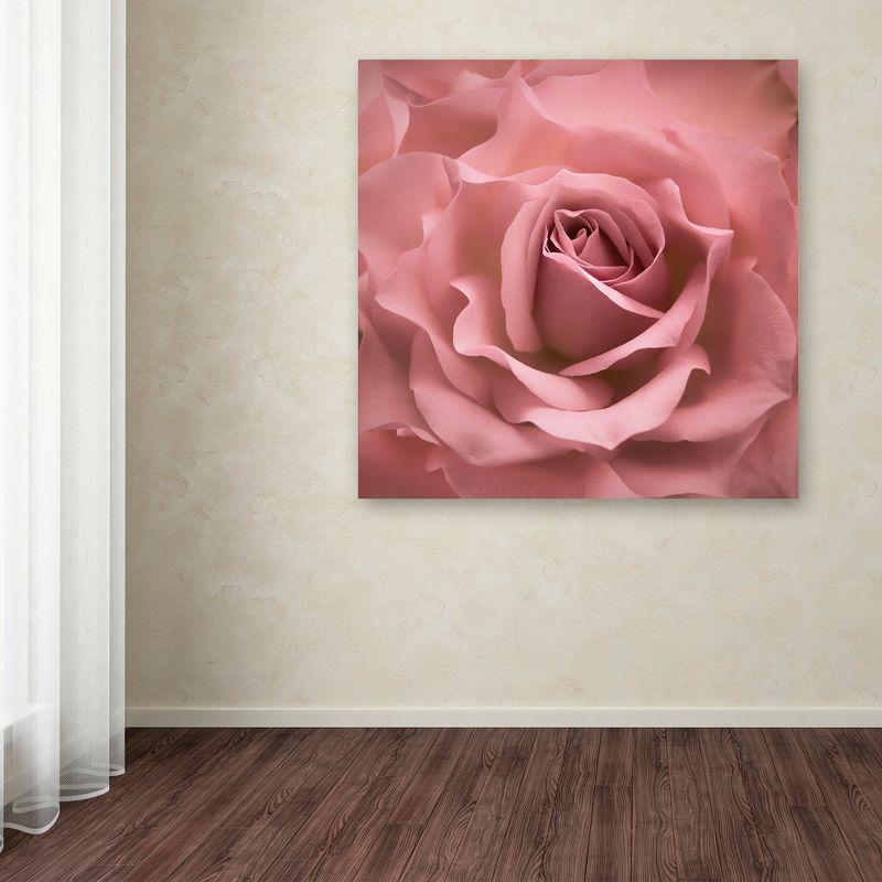 House of Hampton® " Misty Rose Pink Rose " by Cora Niele