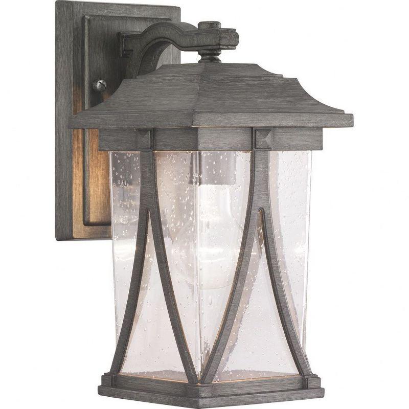 Progress Lighting Abbott 1-Light Outdoor Wall Lantern in Antique Pewter with Clear Seeded Glass Shade