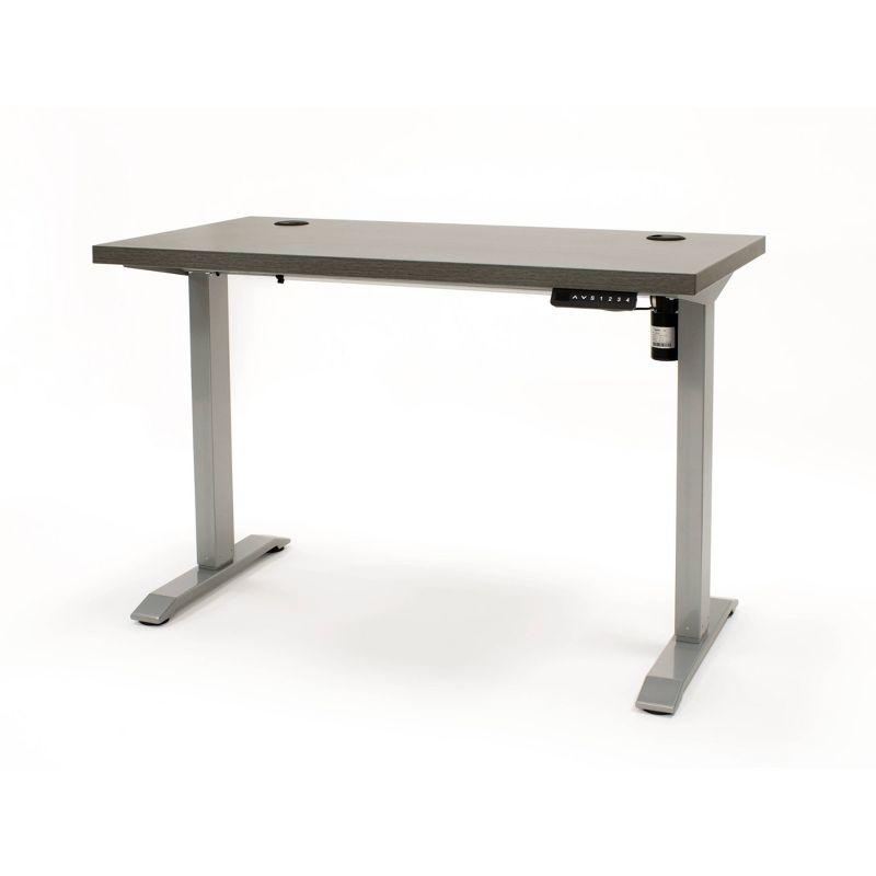 Viviana Contemporary Electric Lift Sit-Stand Desk in Gray and Silver