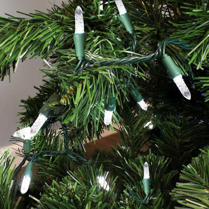 Sunnydaze Electric Plug-In 70ct LED Indoor/Outdoor String Lights Faceted M6 White - 21' Green Wire