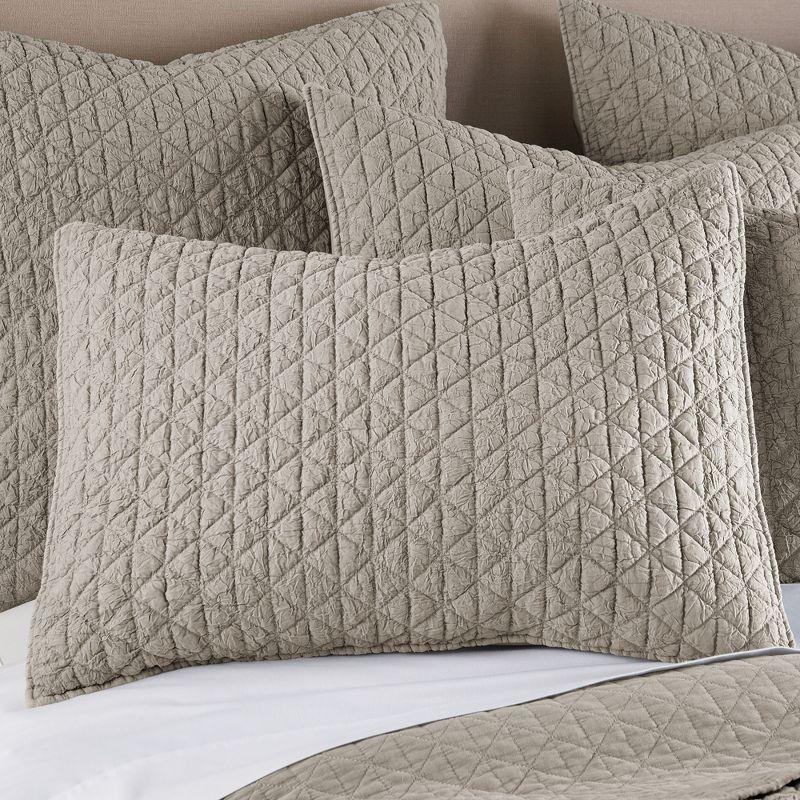 Rowan Tan Twin Quilt Set- HomThreads by Levtex Home