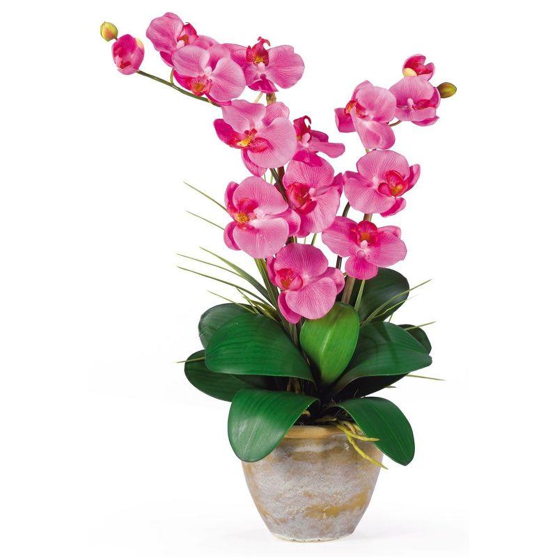 Multicolor 25" Double Stem Phalaenopsis Silk Orchid in Ceramic Vase