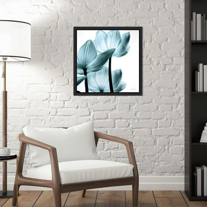 Amanti Art Translucent Tulips III Sq Aqua Crop by Debra Van Swearingen Framed Canvas Wall Art