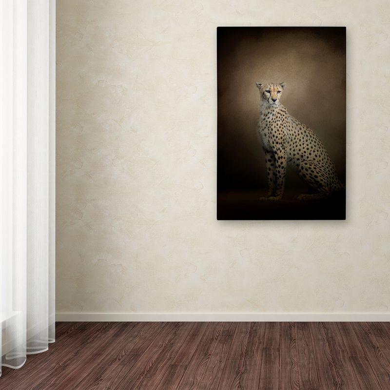 Jai Johnson " The Elegant Cheetah " by Jai Johnson