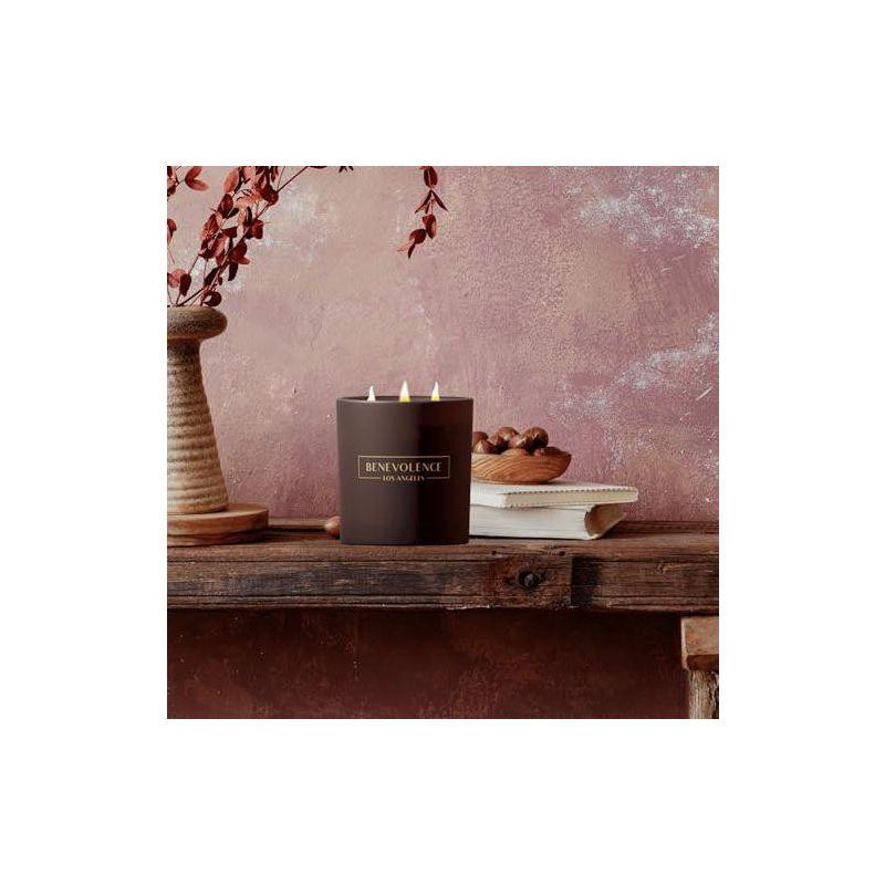 Benevolence LA Premium All Natural Soy 3 Wick Candles In Matte Black Glass Jar - Fig Tree Scent (14.5 oz)