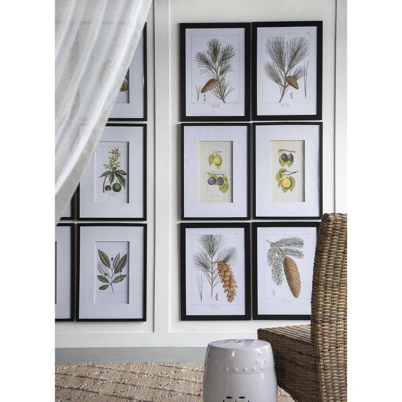 Set of 2 Smithsonian Fruit Framed Wall Arts - A&B Home: Transitional Decor, Vertical Orientation, Includes Mounting Hardware