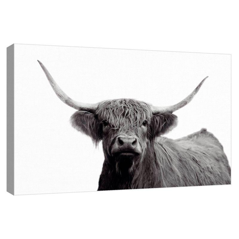 24" x 36" Black and White Highland Bull Canvas Art