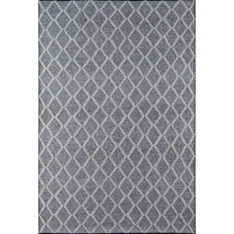 Andes Romilly Rug - Momeni