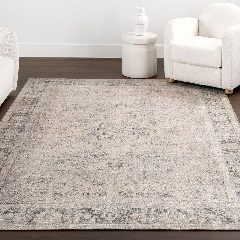 Nuloom Hillstone Collection Brinly Traditional Vintage Medallion Area Rug, 9' x 12', Light beige