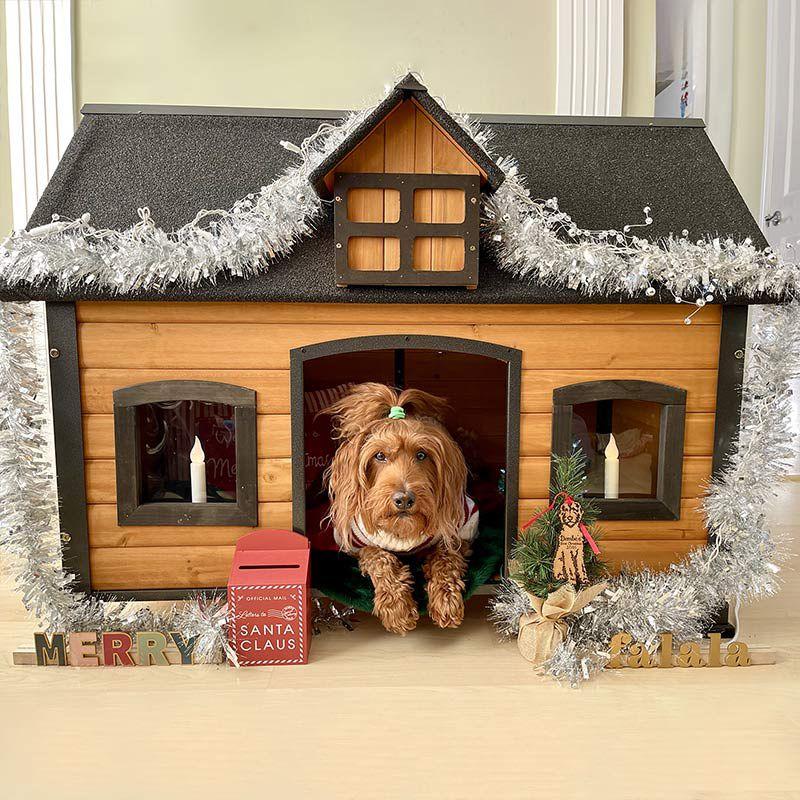 Archie & Oscar™ Lyndhurst Insulated Outdoor Dog House with Insulated Liner, Anti-Chewing Iron Frame Wooden Dog Kennel with Unique Design Roof, Weatherproof Dog House for Outdoor Indoor