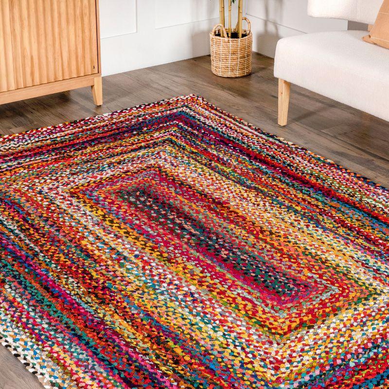 Nuloom Tammara Bohemian Hand Braided Indoor Area Rug