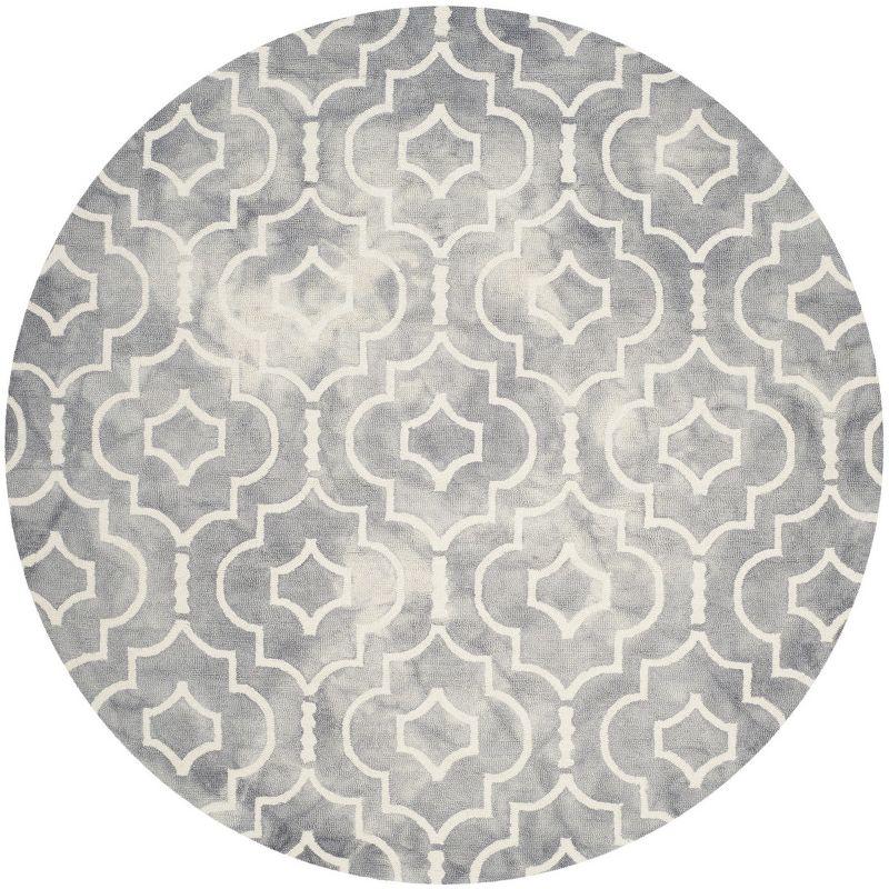 Dip Dye DDY538 Hand Tufted Area Rug  - Safavieh