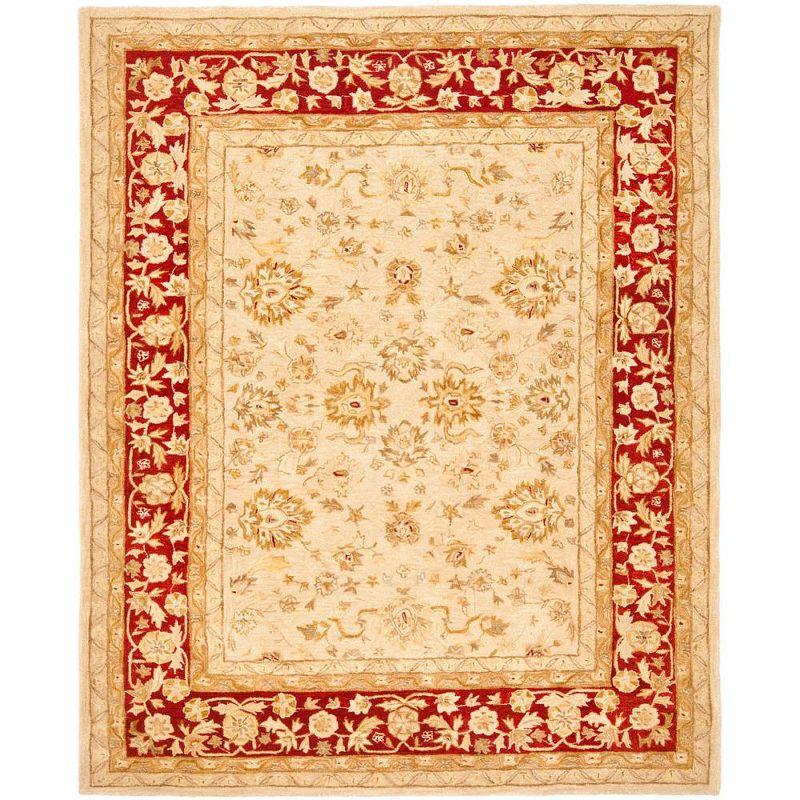 Anatolia AN522 Hand Tufted Area Rug  - Safavieh