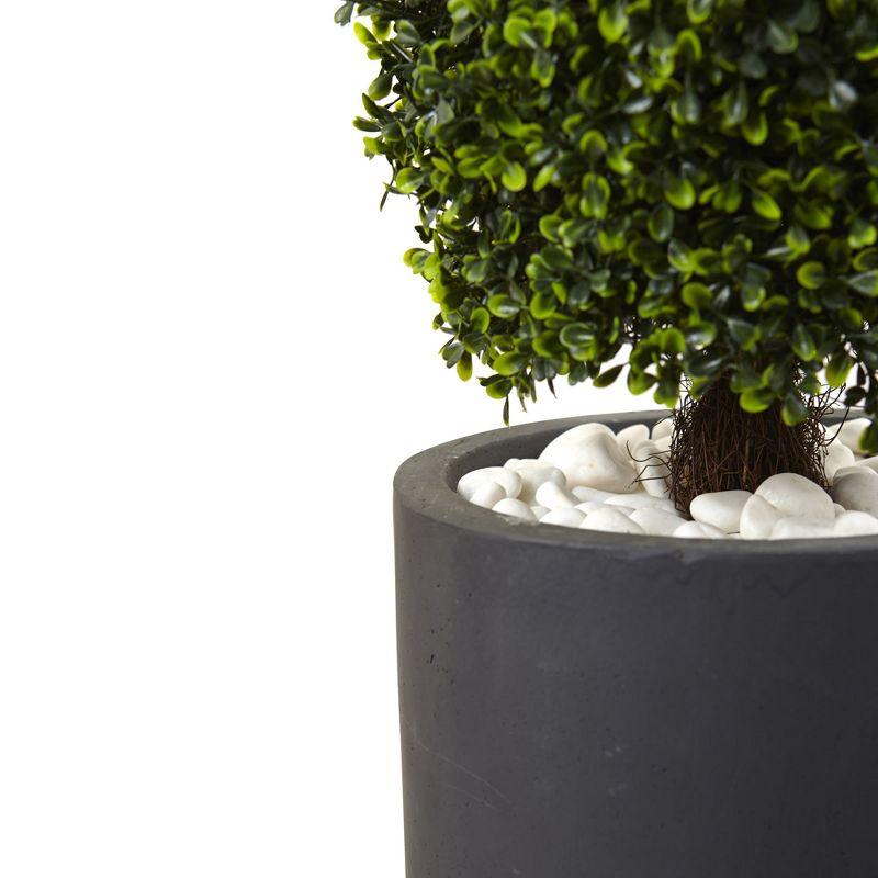 50" Boxwood Topiary with Gray Cylindrical Planter - Nearly Natural: UV Resistant, Indoor & Outdoor Decor