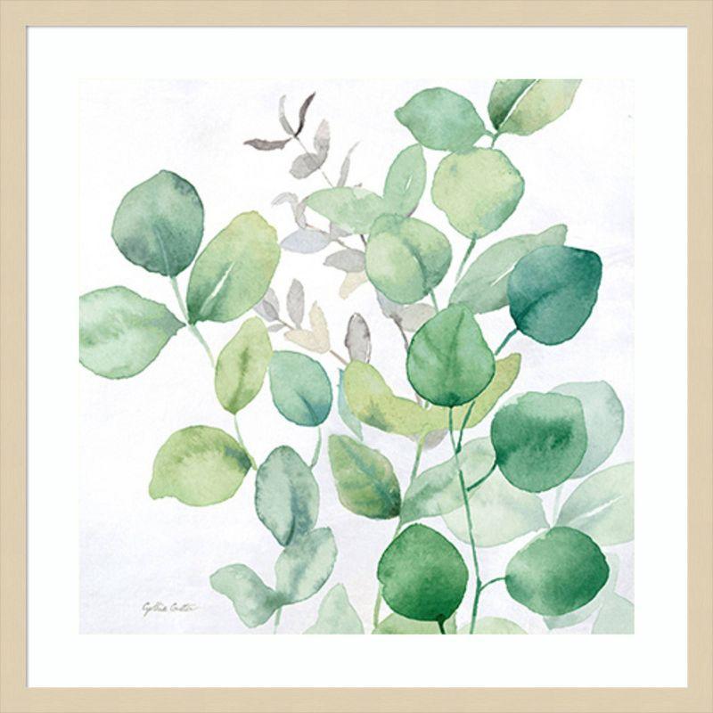 Amanti Art Eucalyptus Leaves I by Cynthia Coulter Framed Wall Art Print