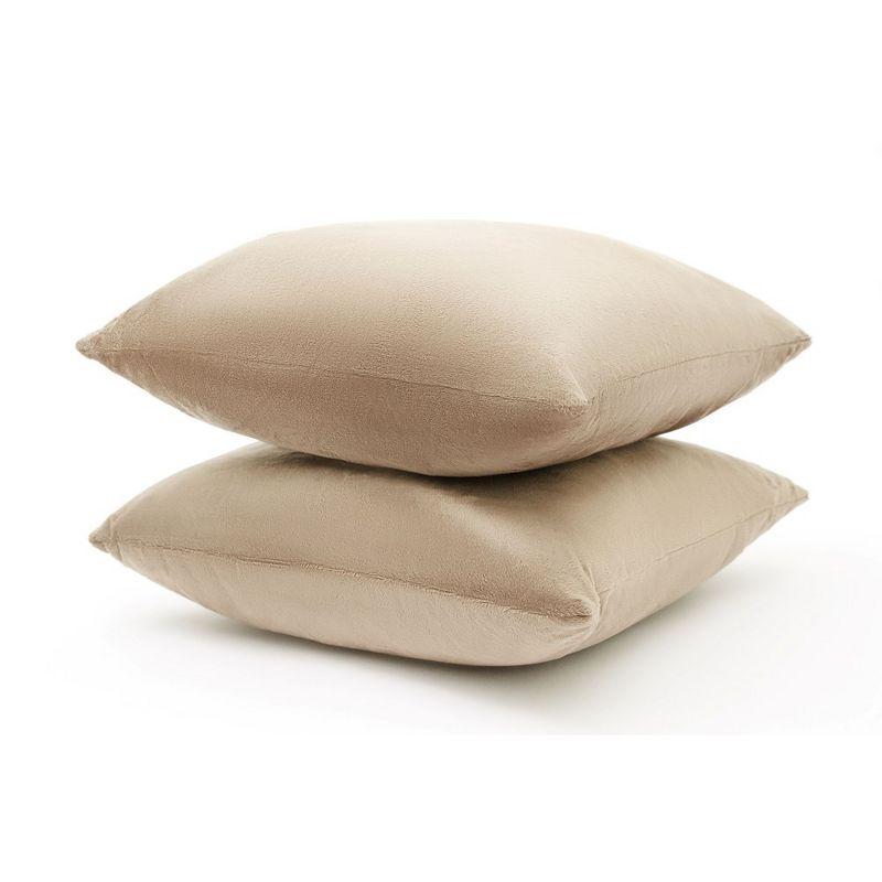 Throw Pillow (Set of 2)