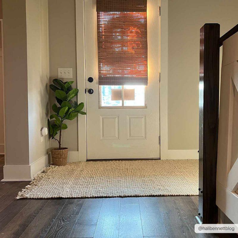 Hauteloom Moncton Handmade Jute/Sisal Beige Area Rug