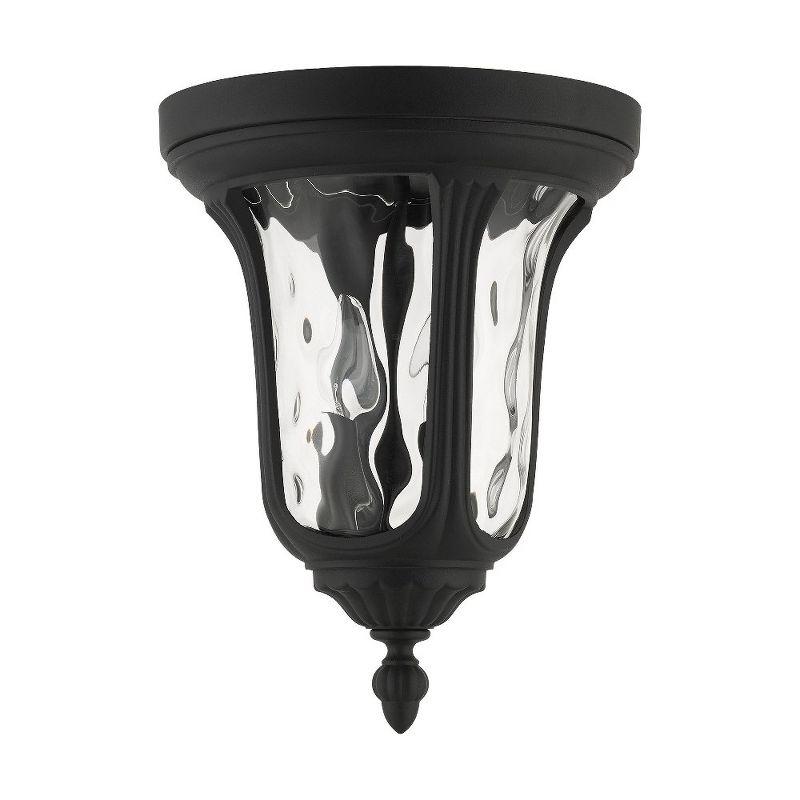 Elegant Oxford Hand-Blown Clear Water Glass 2-Light LED Flush Mount in Textured Black