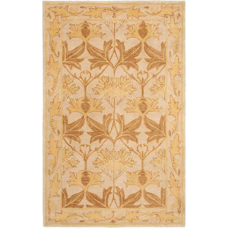 Anatolia AN541 Hand Tufted Indoor Area Rug - Beige/Gold - 5'x8' - Safavieh