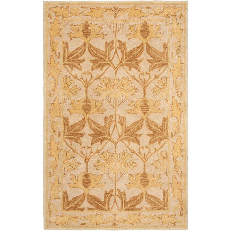 Anatolia AN541 Hand Tufted Area Rug  - Safavieh