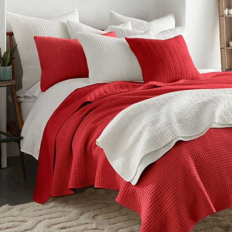 Mills Waffle Quilt and Pillow Sham Set - Levtex Home