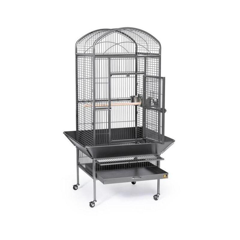 Prevue Pet Products 34521 Dome top Bird Cage, Large, Black Hammerstone