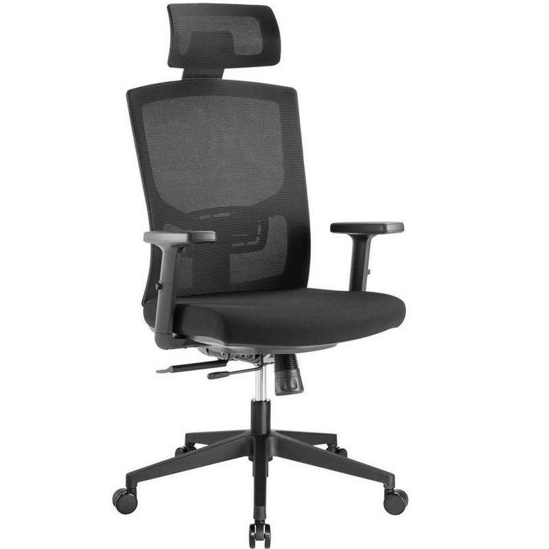 Black Mesh Ergonomic Task Chair with Adjustable Arms and Headrest