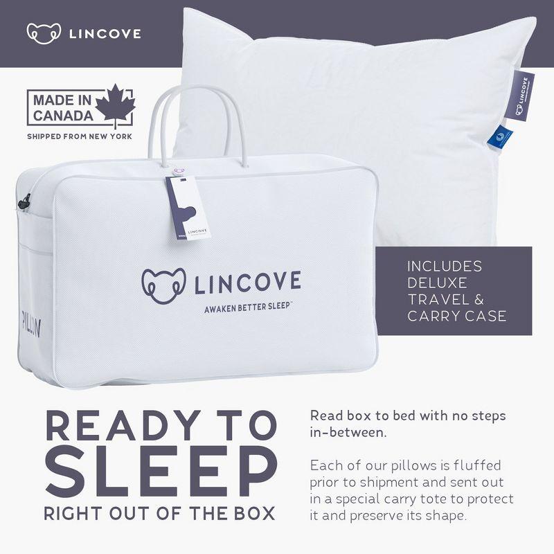Lincove® Lincove European Down Venus Pillow - German Down, 600 Fill Power - Made in Canada