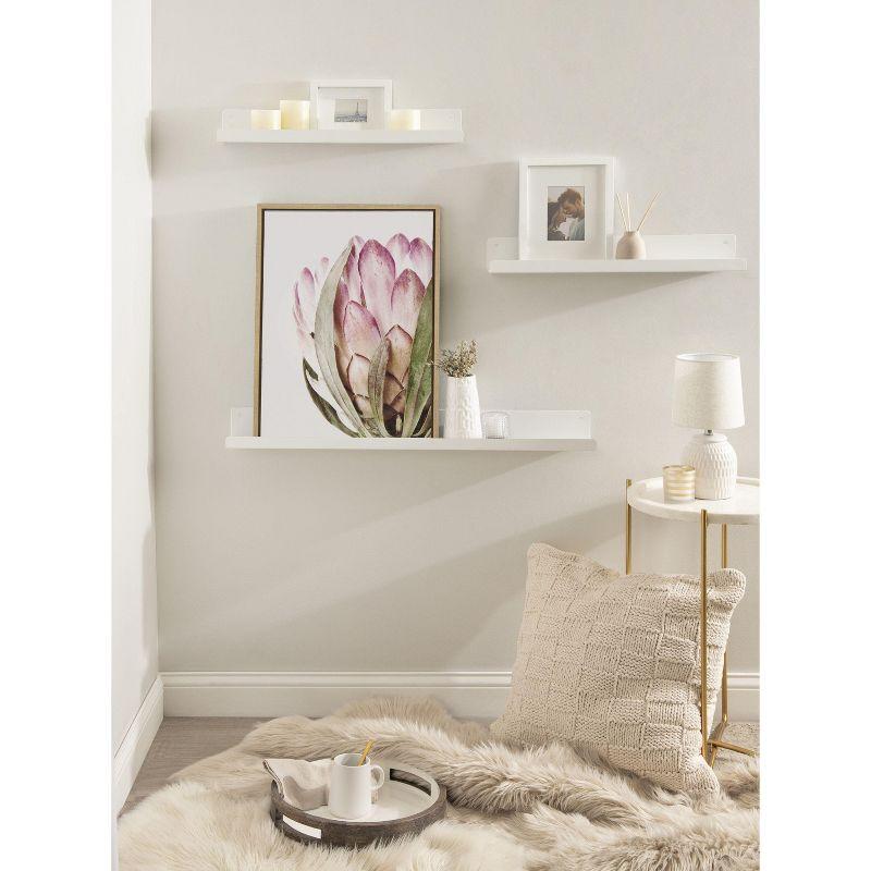 Kate and Laurel Sylvie Pink Protea Flower Framed Canvas by Amy Peterson, 18x24, Natural