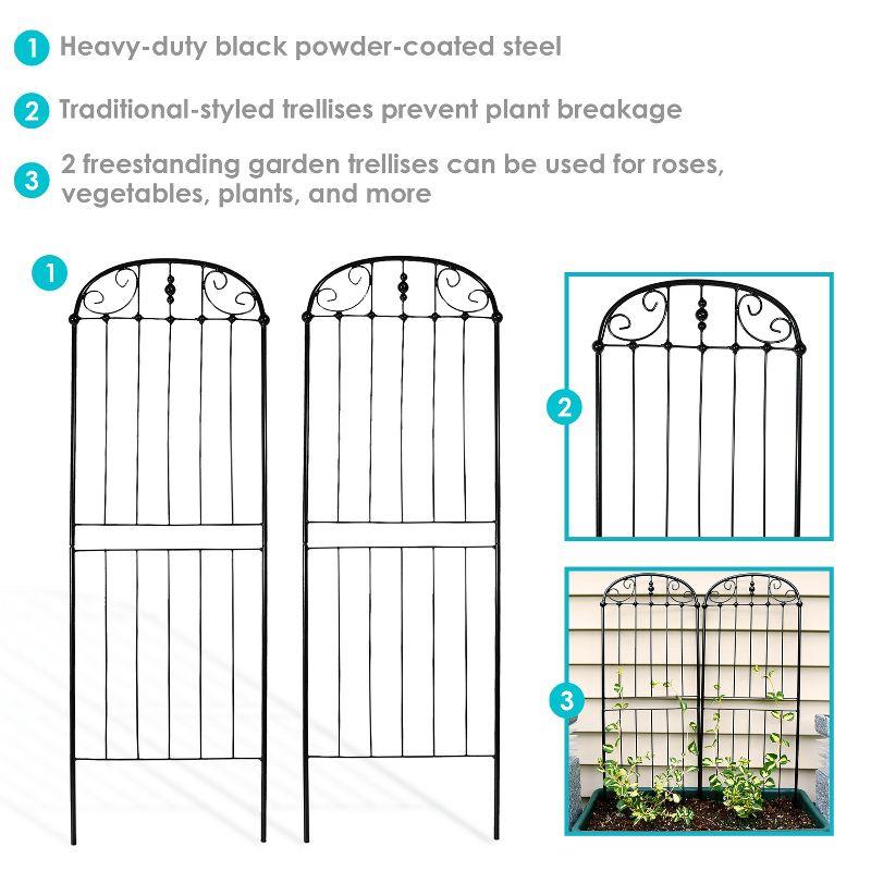 Sunnydaze Metal Wire Traditional Garden Trellis for Climbing Plants and Flowers - 32" H - Black - 2-Pack