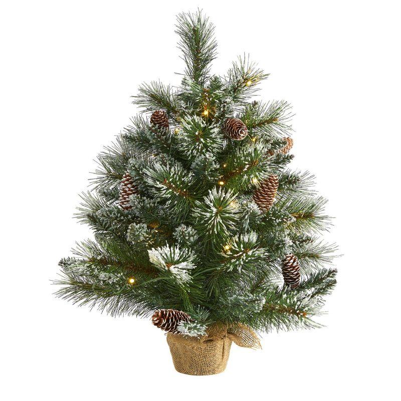 2ft Frosted Pine Artificial Christmas Tree with LED Lights and Burlap Base