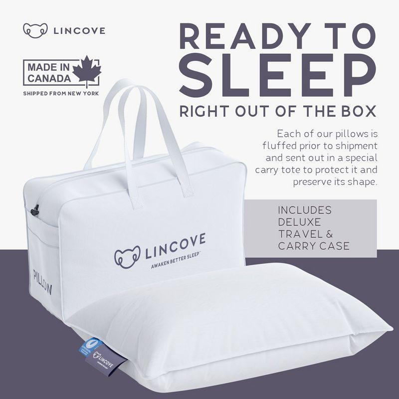 Lincove Canadian Down Feather Travel Pillow - Luxurious Head and Neck Support for Comfortable Travel