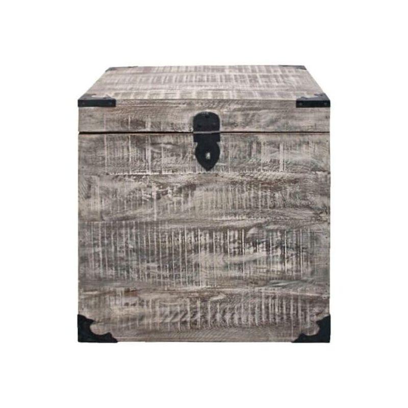 Gray Mango Wood Trunk End Table with Storage