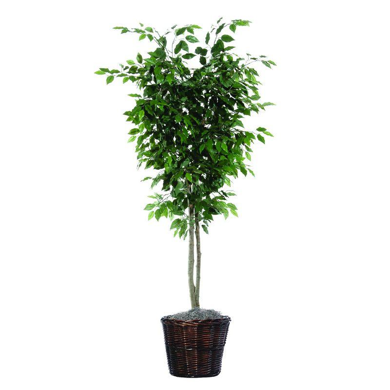 Lush Green 6' Silk Ficus Tree in Dark Brown Rattan Basket